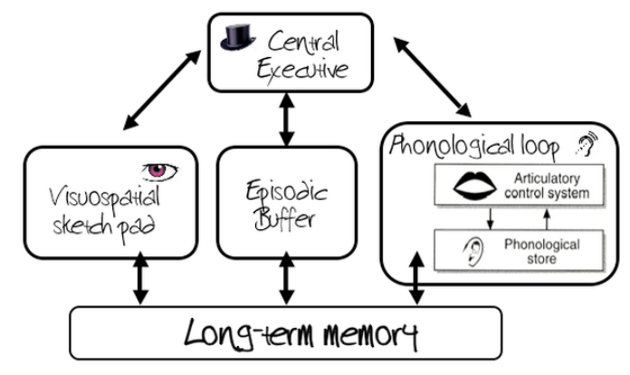 learning experience design and how information flows and creates long term memory.