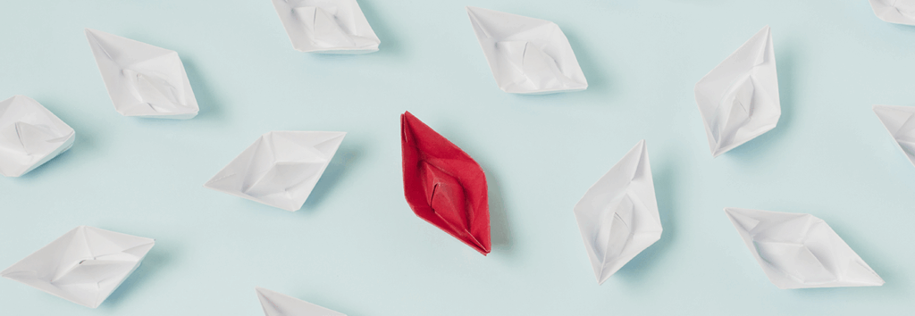 Stealth Leadership by Meg Knight